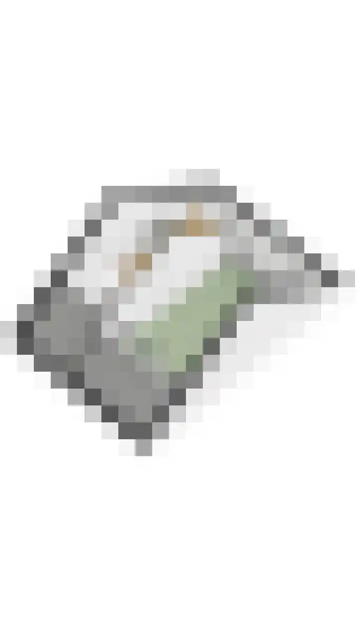 Leemkuylen 70 Geldrop thumbnail 50