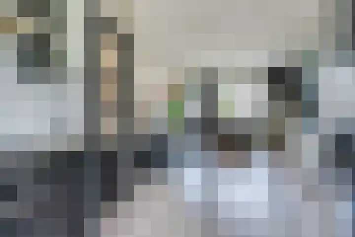 Leemkuylen 71 Geldrop thumbnail 13
