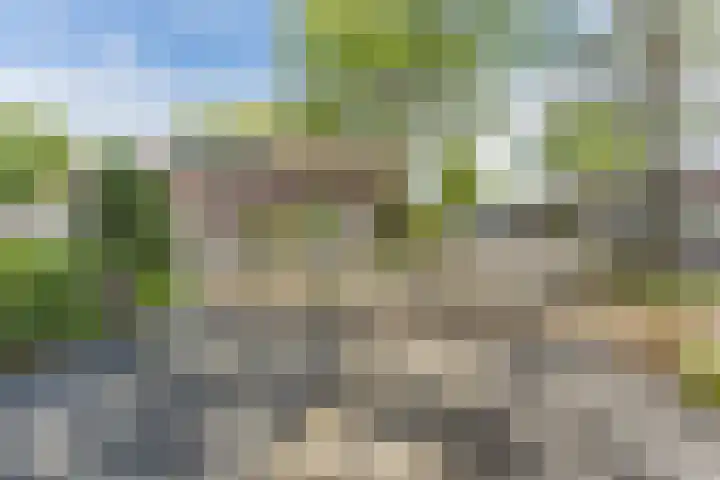 Leemkuylen 71 Geldrop thumbnail 5