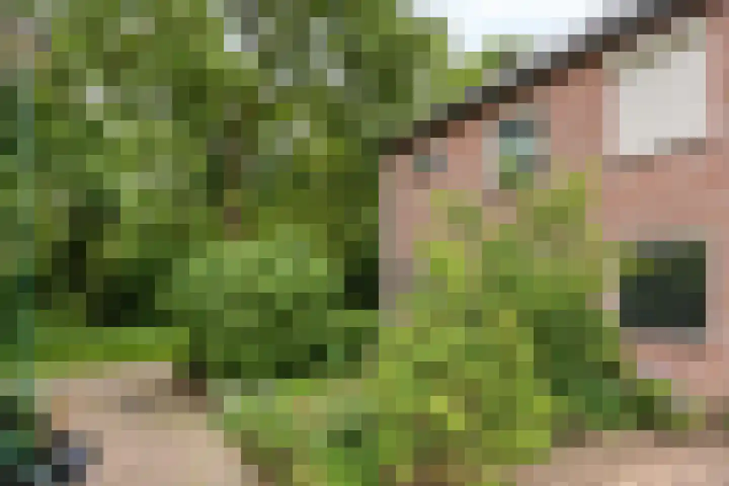 Leemkuylen 78 Geldrop thumbnail 32