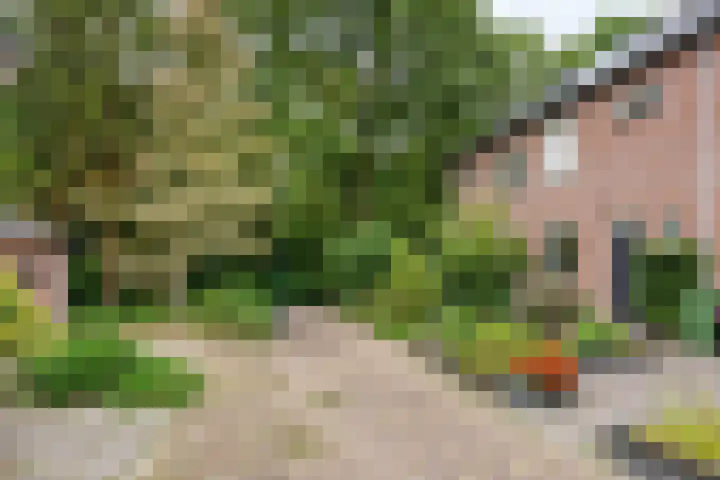 Leemkuylen 78 Geldrop thumbnail 34