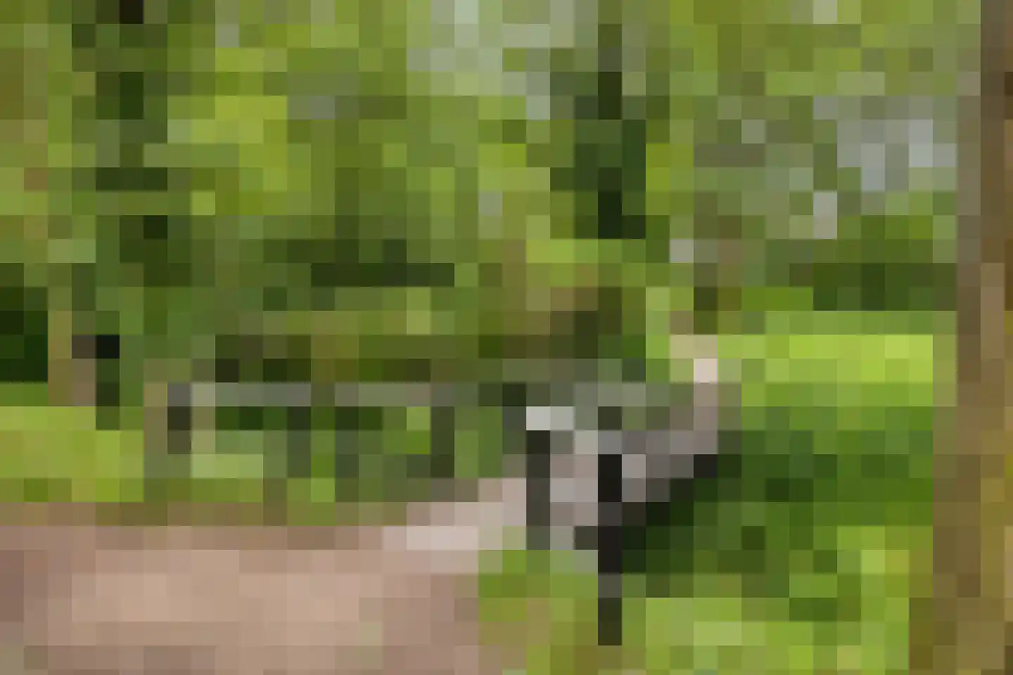 Leemkuylen 78 Geldrop thumbnail 35