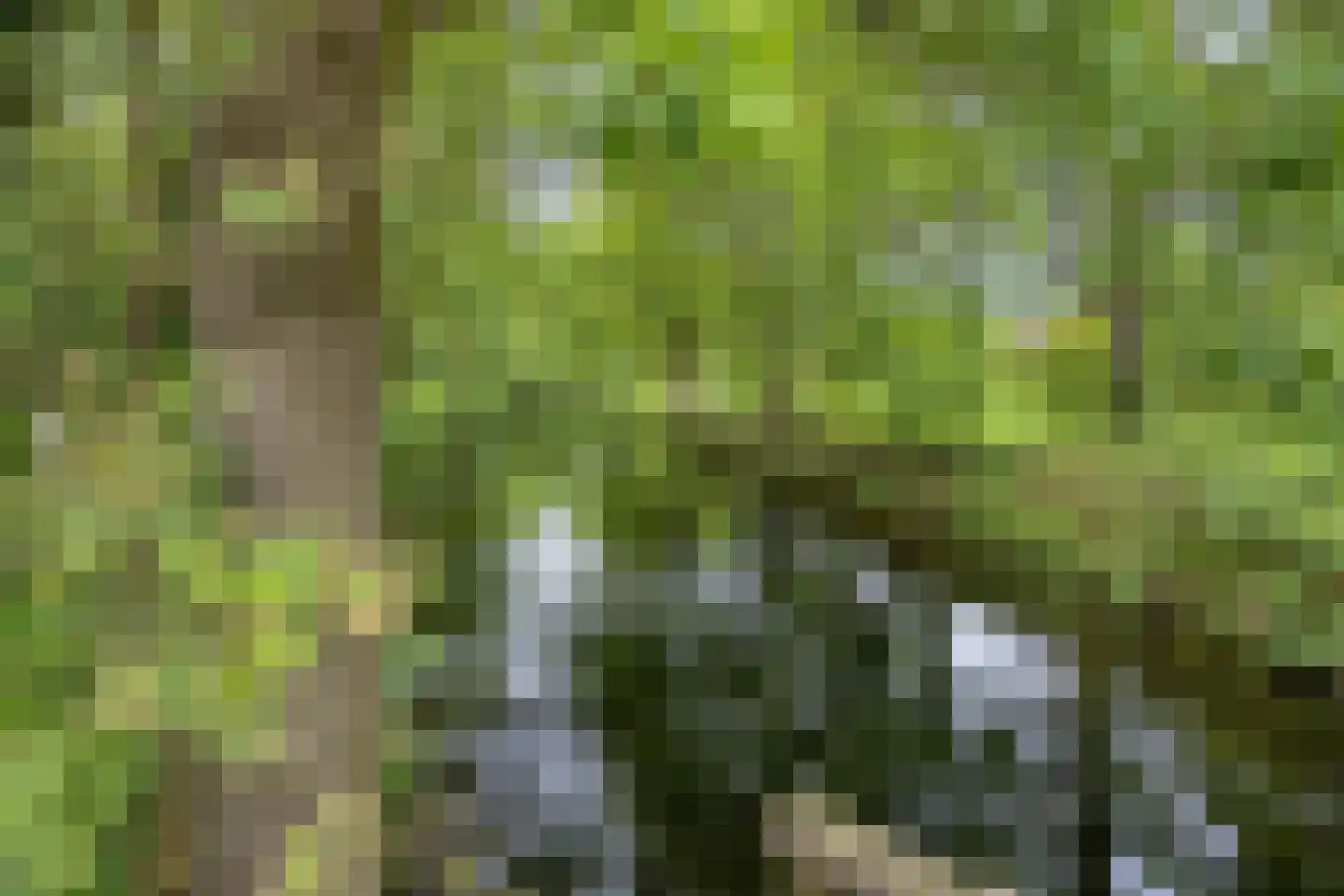 Leemkuylen 78 Geldrop thumbnail 36