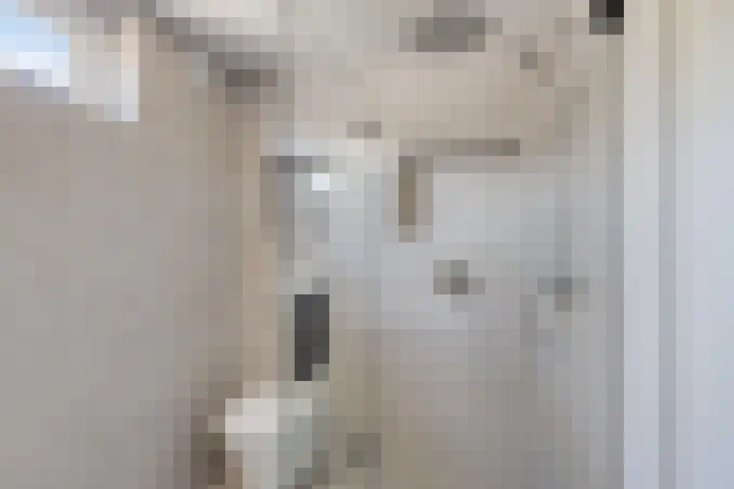 Leemkuylen 9 Geldrop thumbnail 17