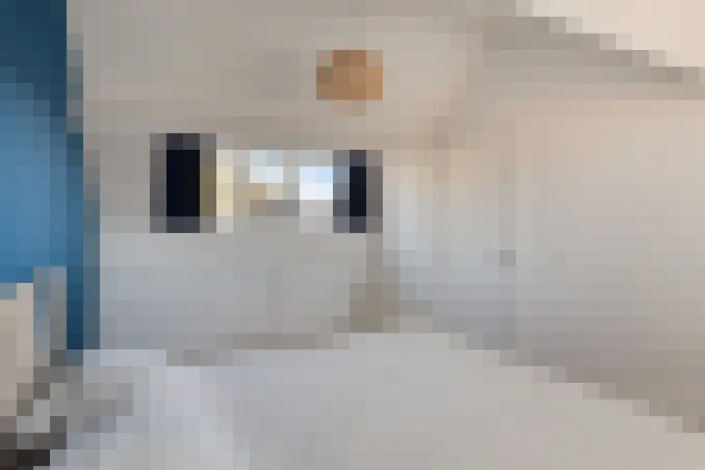 Leemkuylen 9 Geldrop thumbnail 24