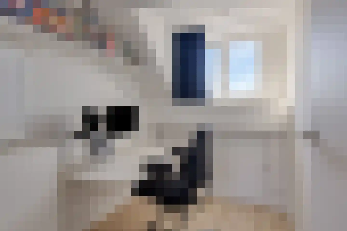 Leemkuylen 9 Geldrop thumbnail 25