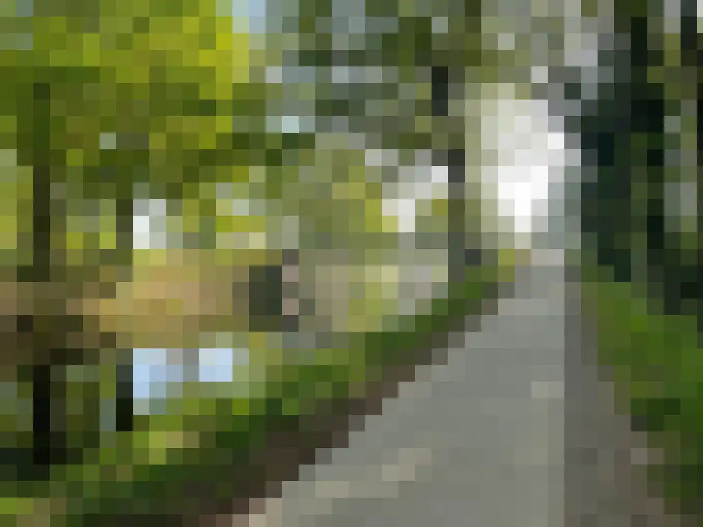 Leemkuylen 9 Geldrop thumbnail 31