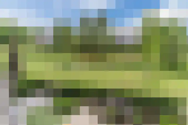 Leempad 16 Oosterhout thumbnail 27