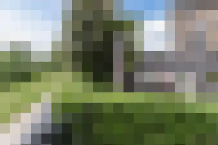 Leempad 16 Oosterhout thumbnail 41
