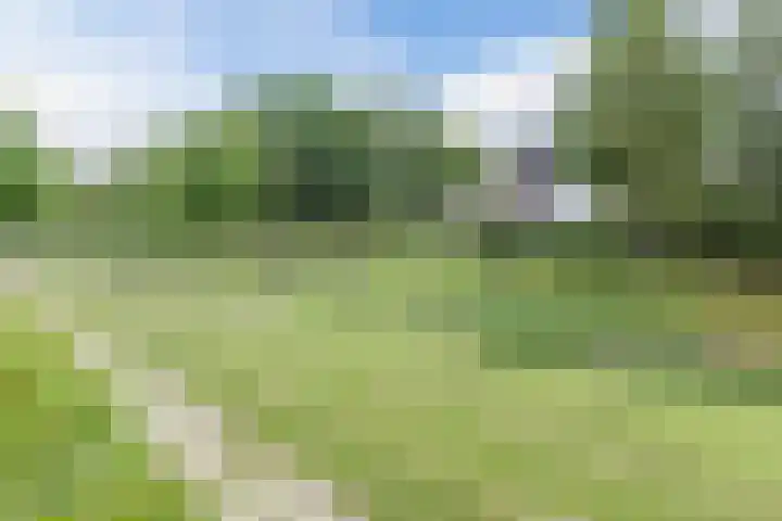 Leempad 16 Oosterhout thumbnail 42
