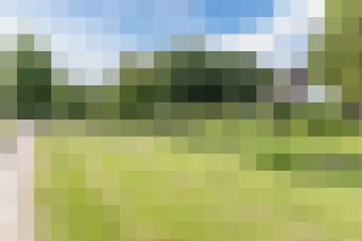 Leempad 16 Oosterhout thumbnail 43