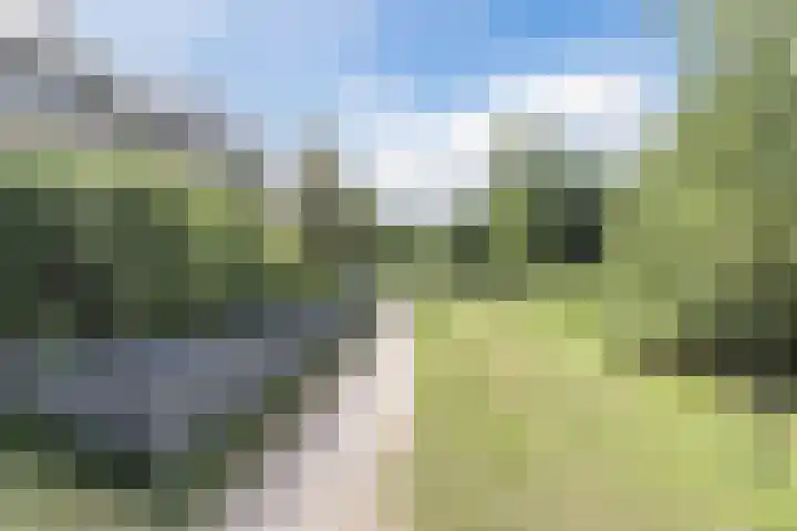 Leempad 16 Oosterhout thumbnail 44