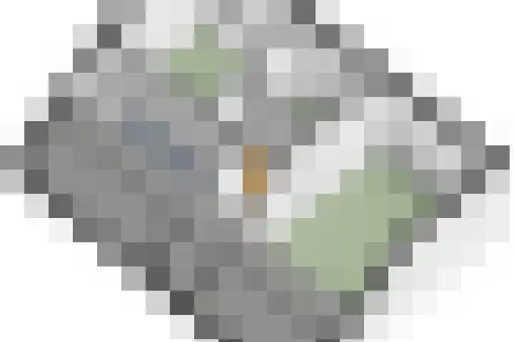 Leempad 16 Oosterhout thumbnail 55