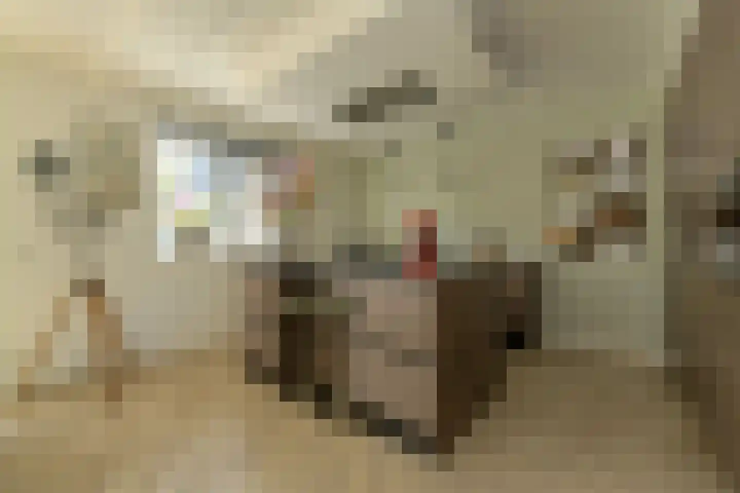 Leempad 5 Oosterhout thumbnail 12