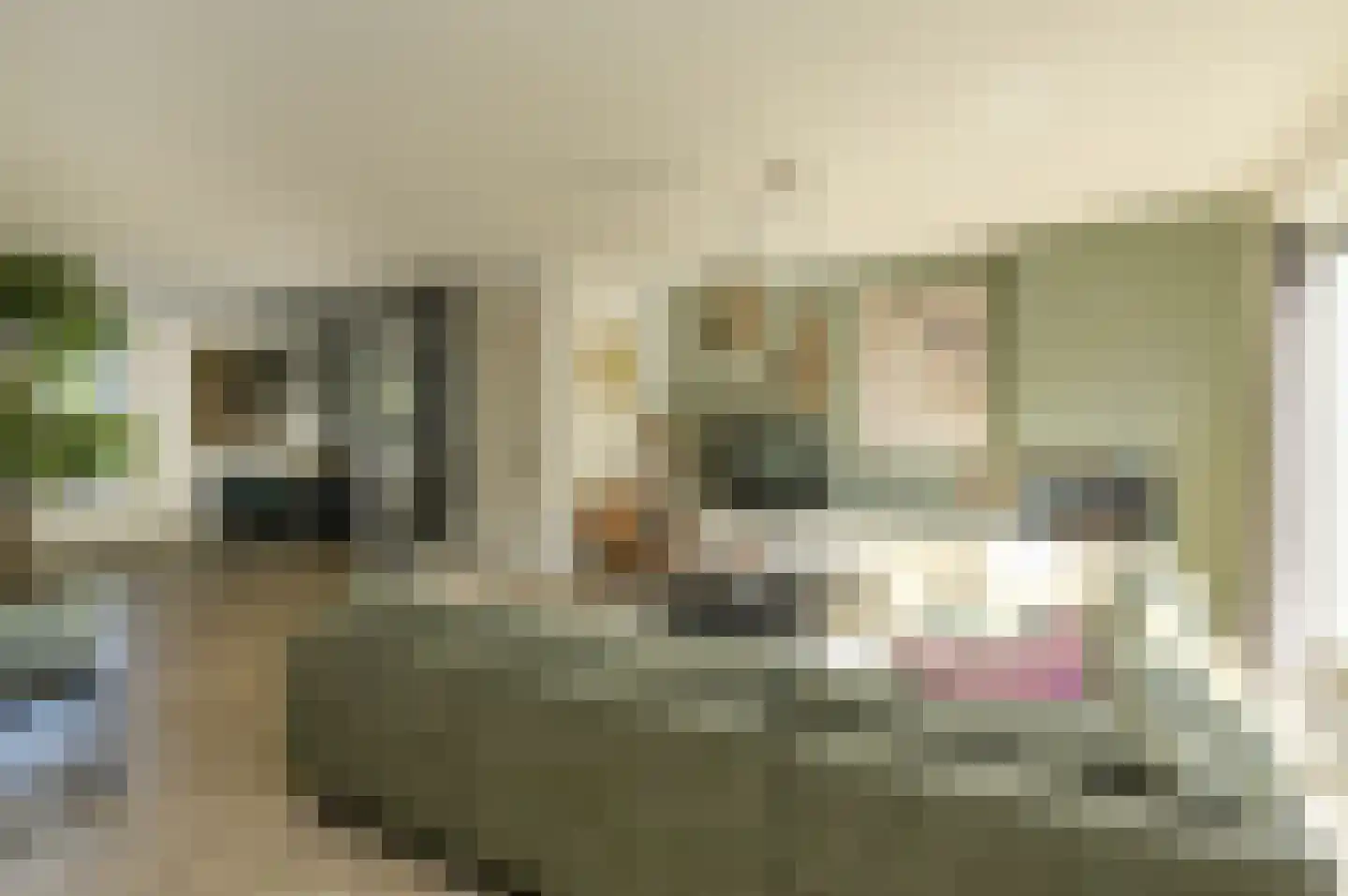 Leempad 5 Oosterhout thumbnail 16