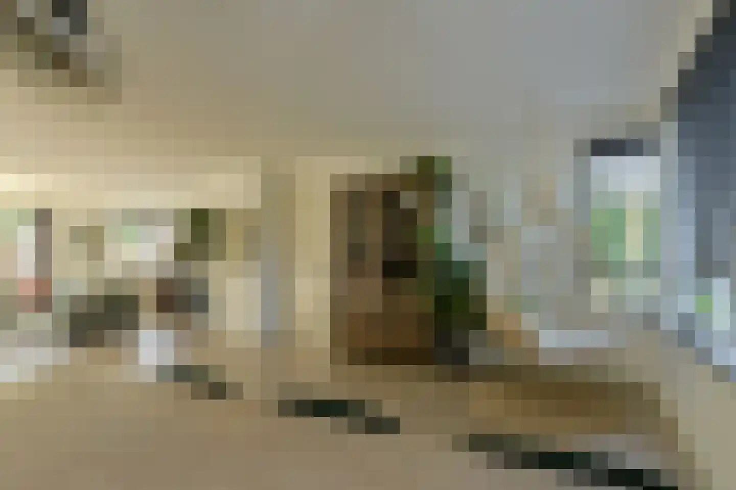 Leempad 5 Oosterhout thumbnail 21