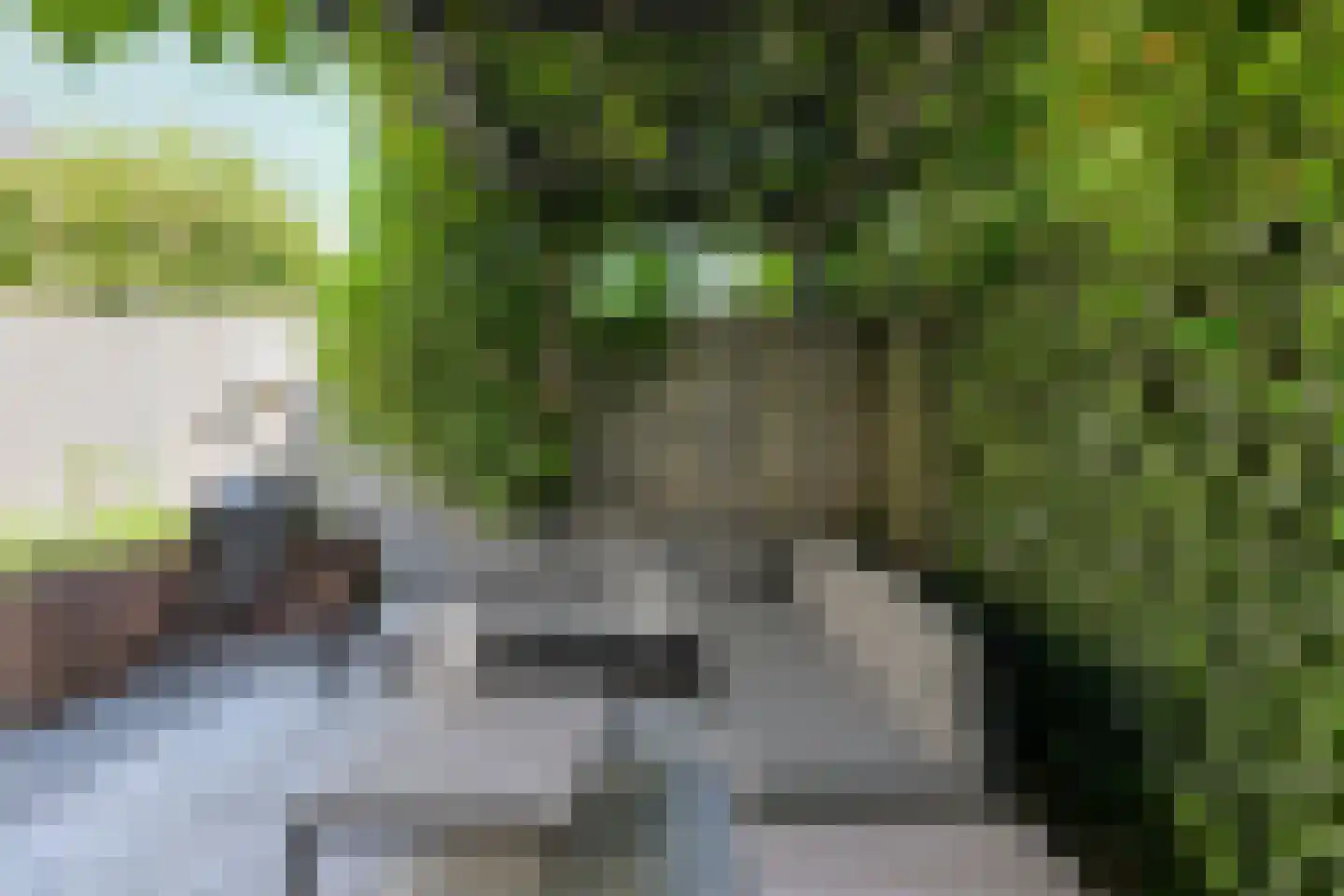 Leempad 5 Oosterhout thumbnail 49