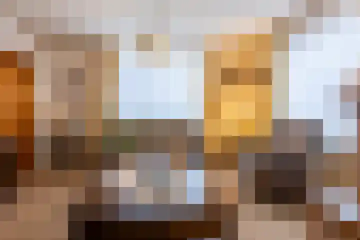 Leempad 6 Ossendrecht thumbnail 10