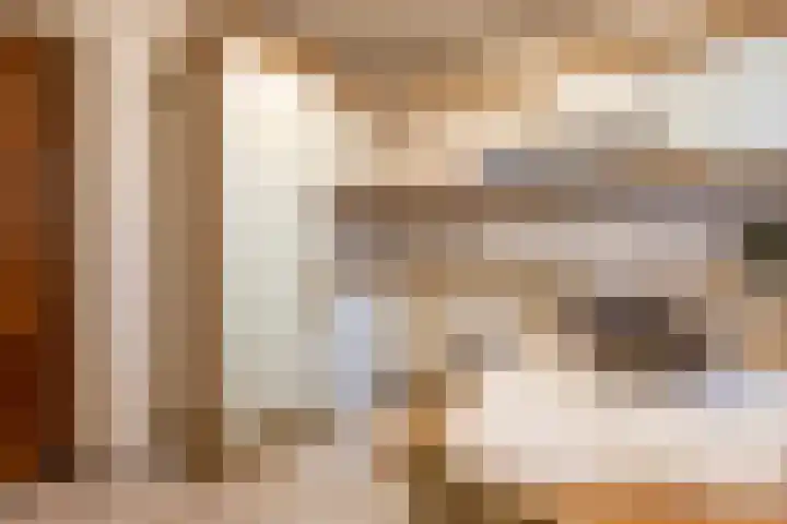 Leempad 6 Ossendrecht thumbnail 13