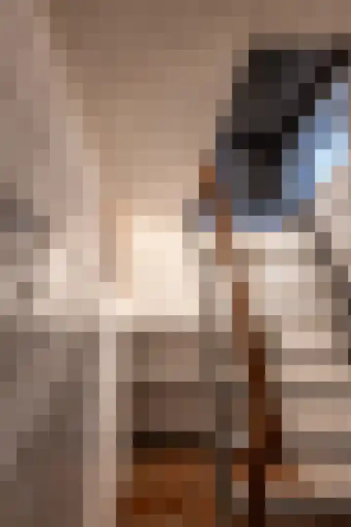 Leempad 6 Ossendrecht thumbnail 15