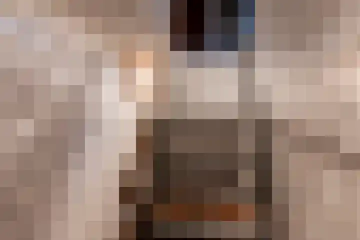 Leempad 6 Ossendrecht thumbnail 16