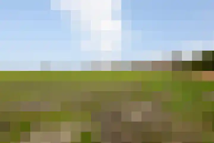 Leempad 6 Ossendrecht thumbnail 48