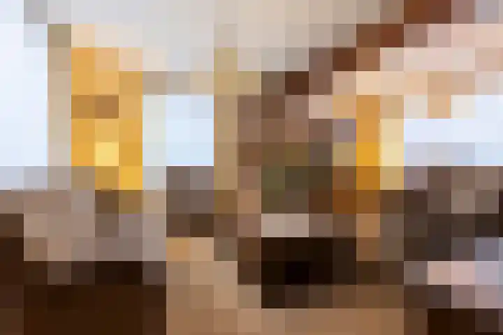 Leempad 6 Ossendrecht thumbnail 6