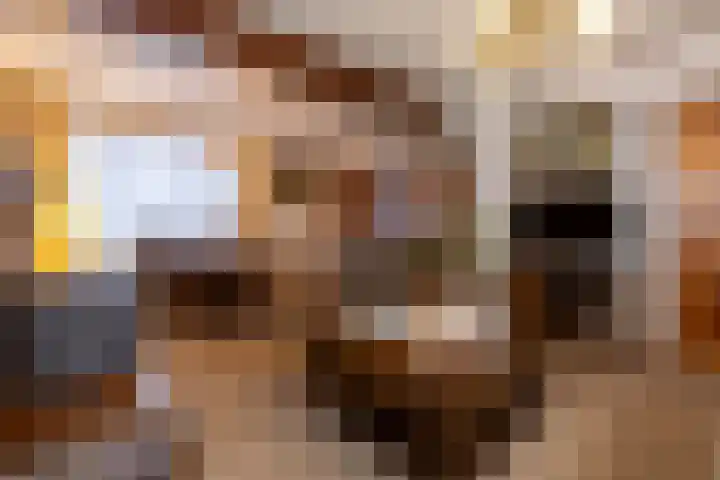 Leempad 6 Ossendrecht thumbnail 7