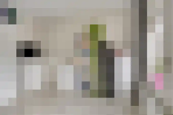 Leempad 9 Ossendrecht thumbnail 18