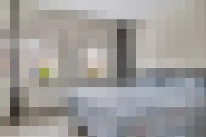 Leempad 9 Ossendrecht thumbnail 4