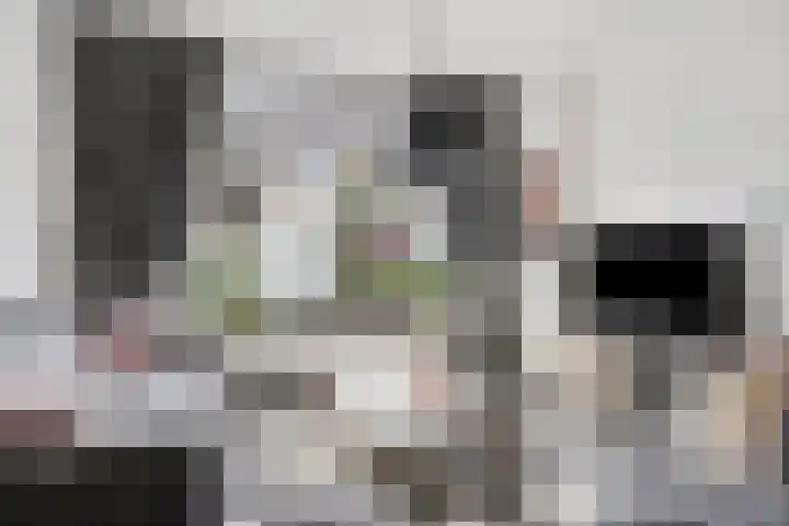 Leempad 9 Ossendrecht thumbnail 9