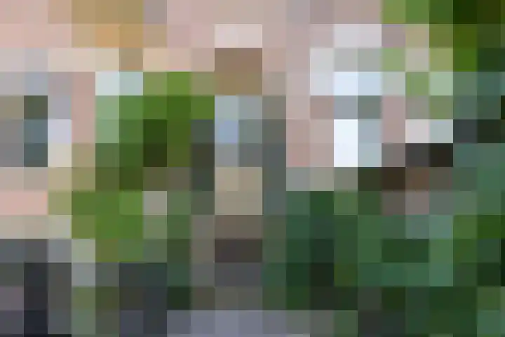 Leemptstraat 1 Nijmegen thumbnail 18