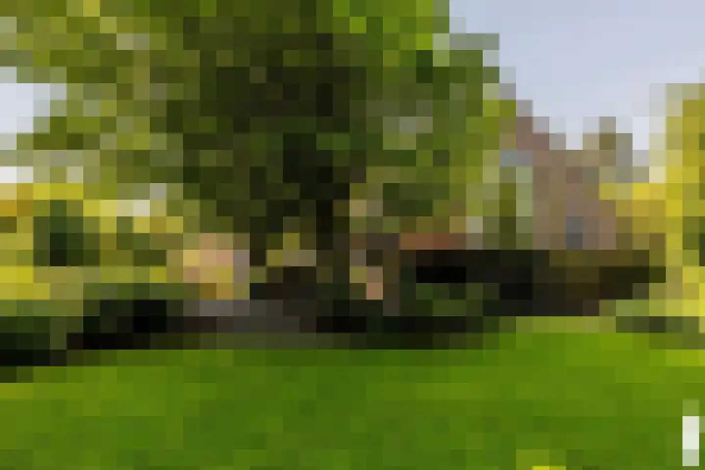 Leemputten 20 Linden thumbnail 16