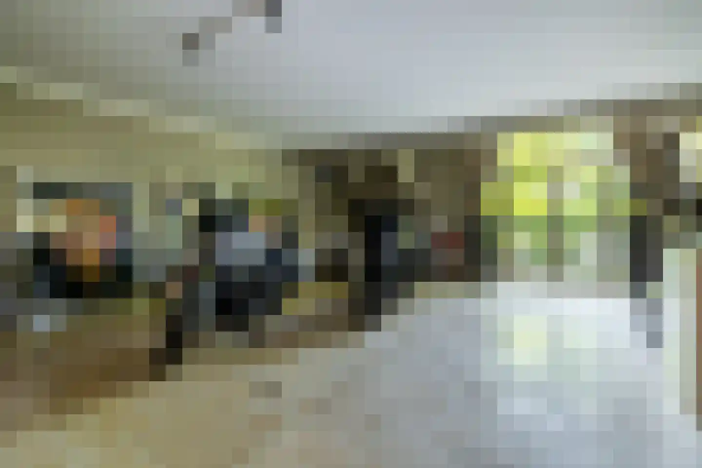 Leemputten 20 Linden thumbnail 23
