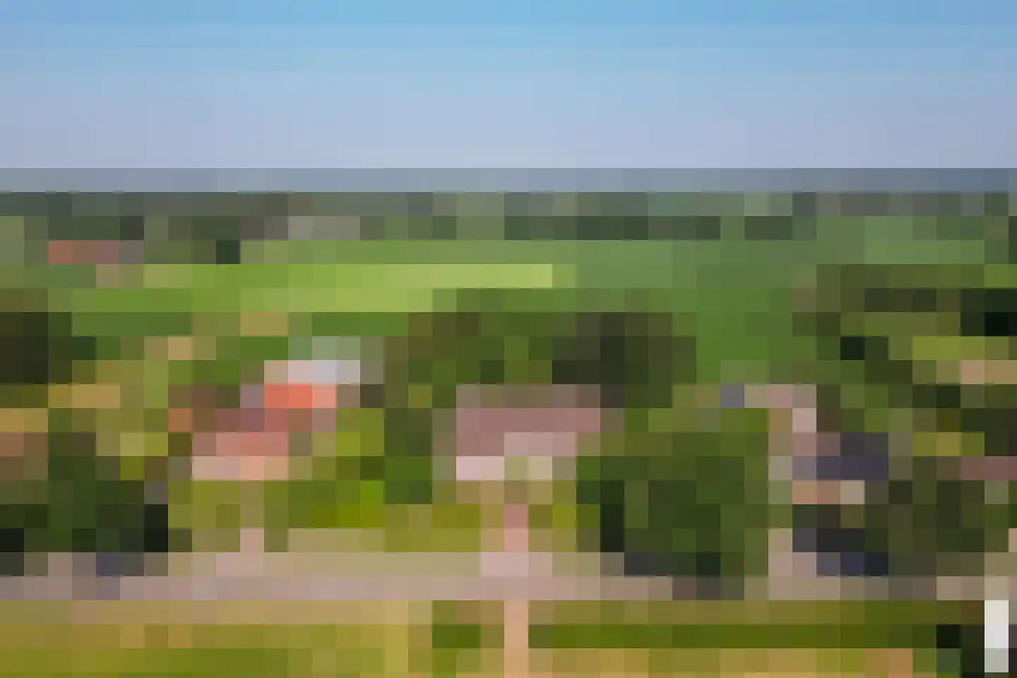 Leemputten 20 Linden thumbnail 4