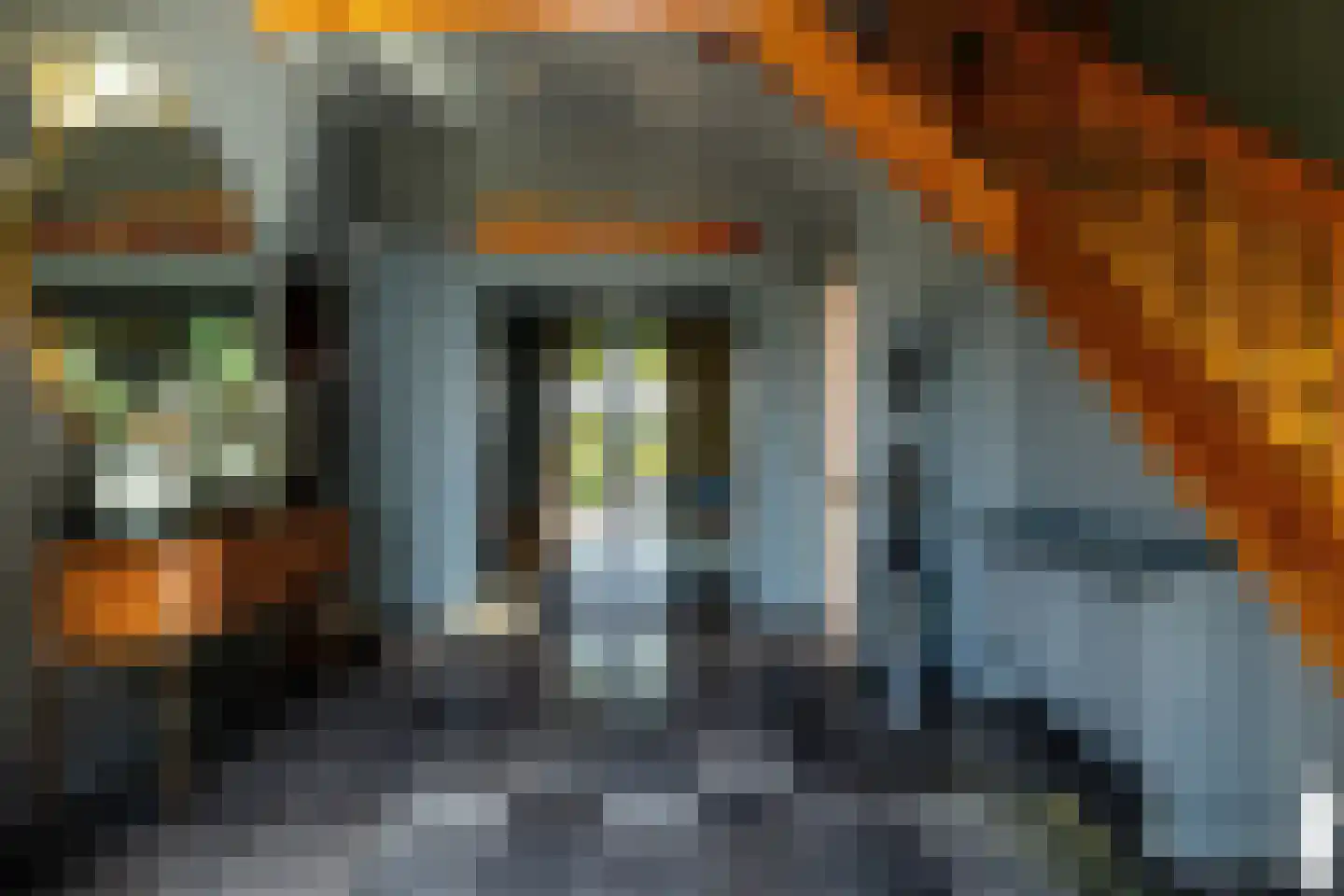 Leemputten 20 Linden thumbnail 5