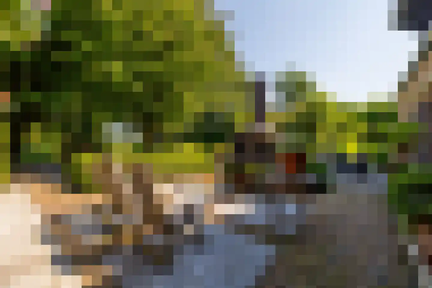 Leemputten 20 Linden thumbnail 51