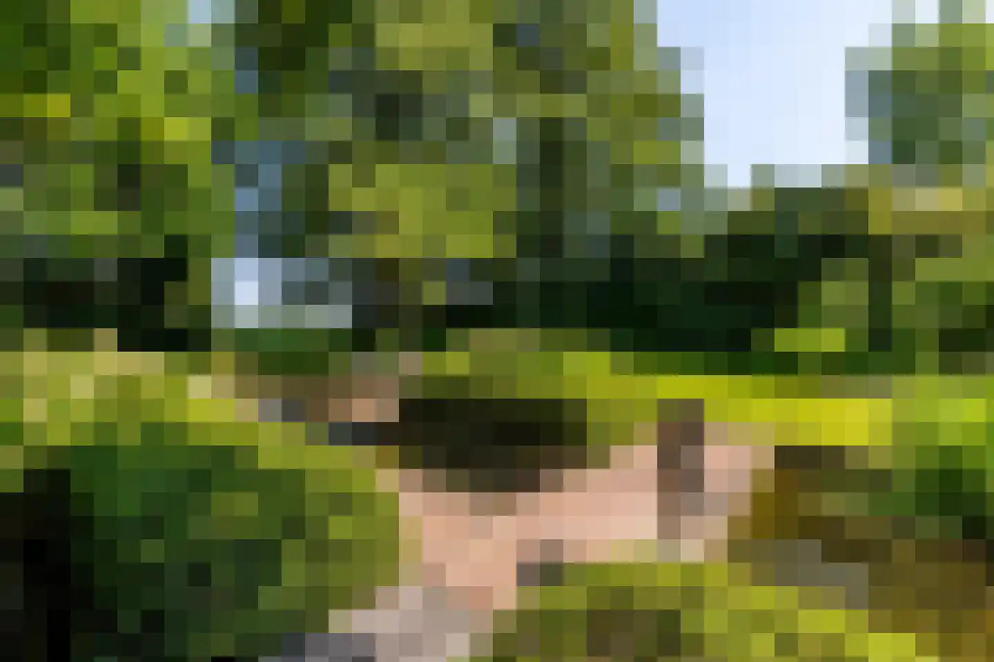 Leemputten 20 Linden thumbnail 55