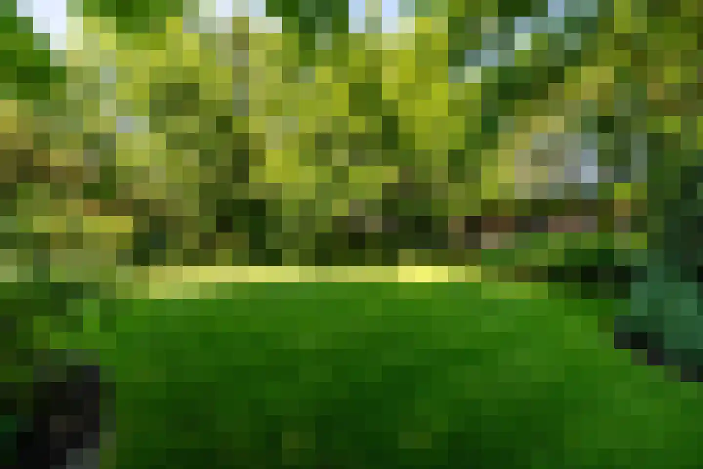 Leemputten 20 Linden thumbnail 56
