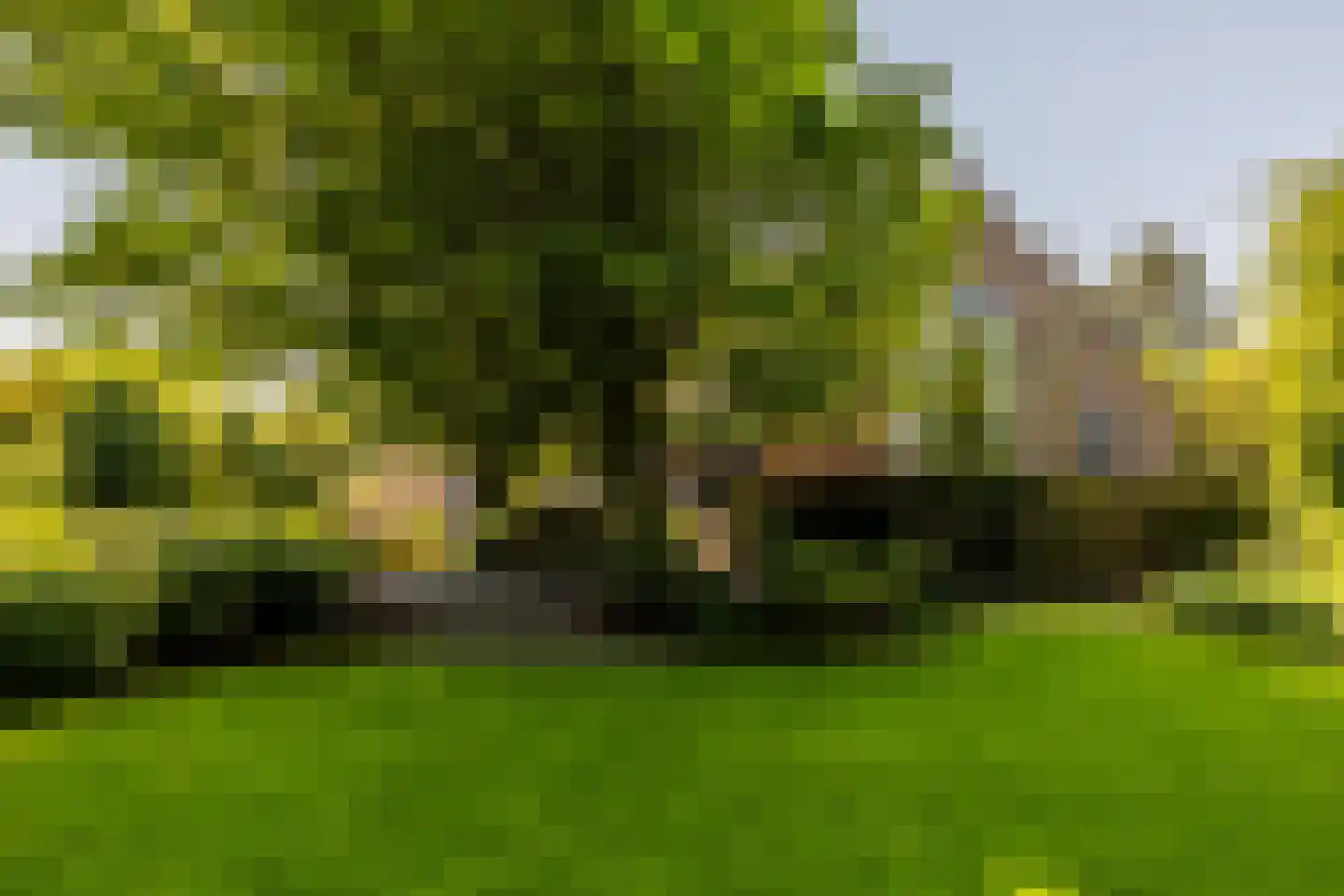 Leemputten 20 Linden thumbnail 60