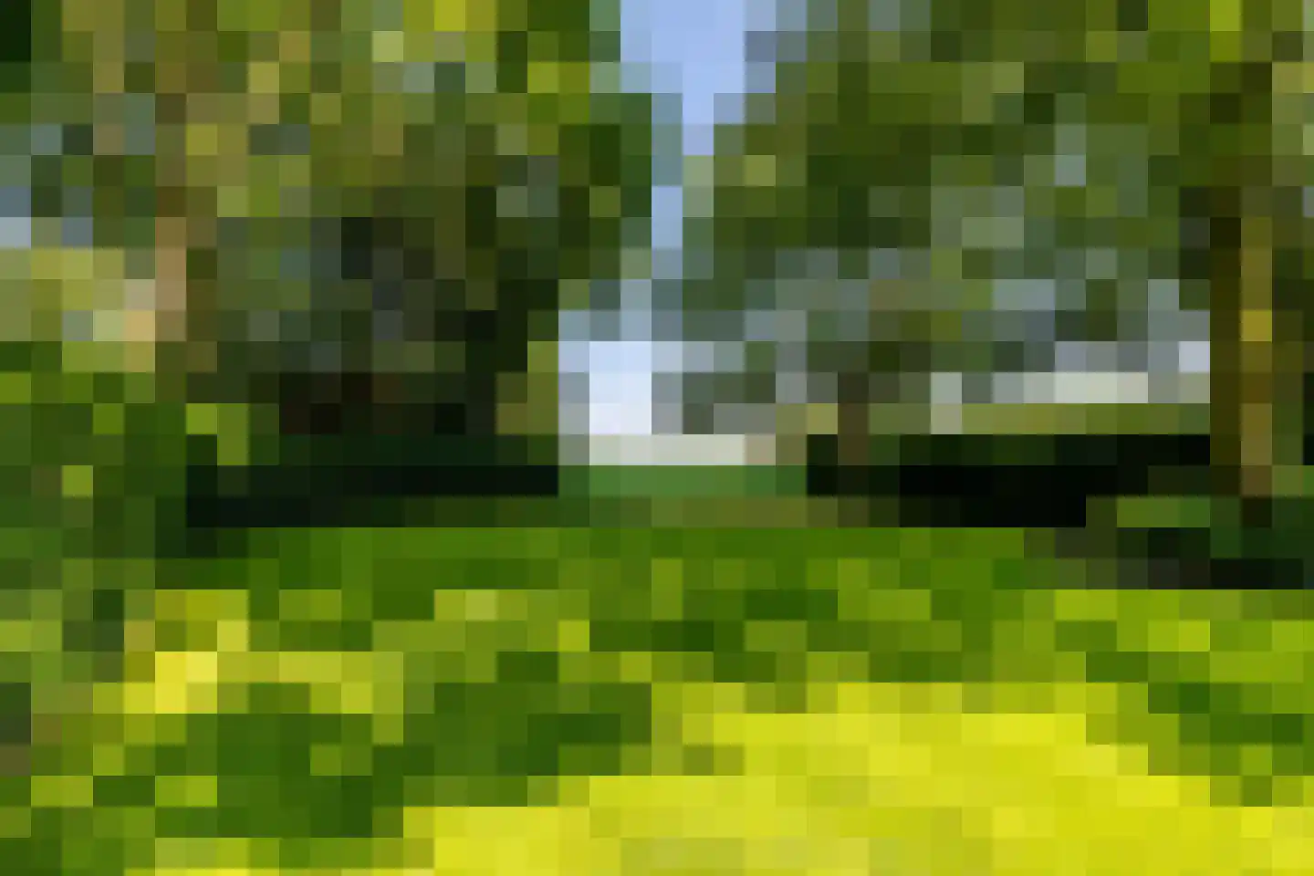 Leemputten 20 Linden thumbnail 61