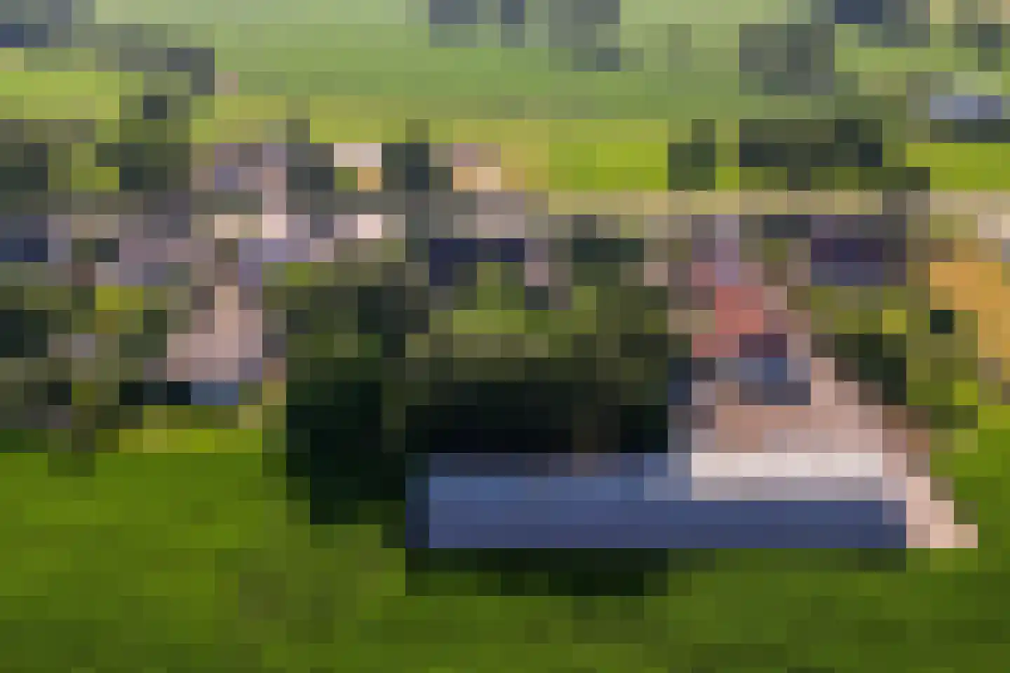 Leemputten 20 Linden thumbnail 69