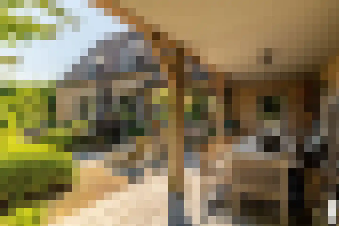 Leemputten 20 Linden thumbnail 7