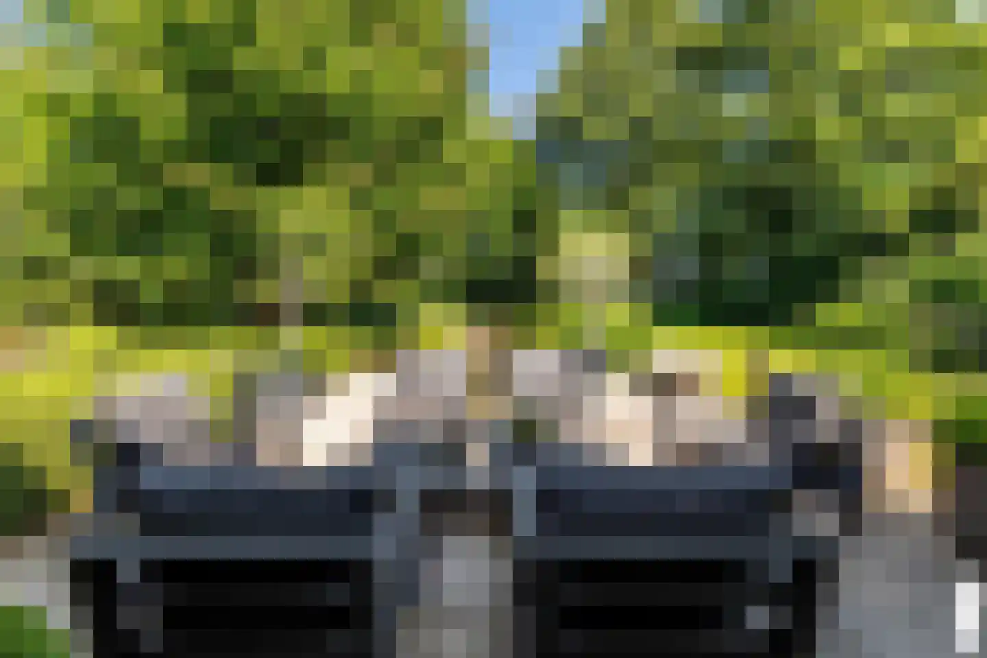 Leemputten 20 Linden thumbnail 8