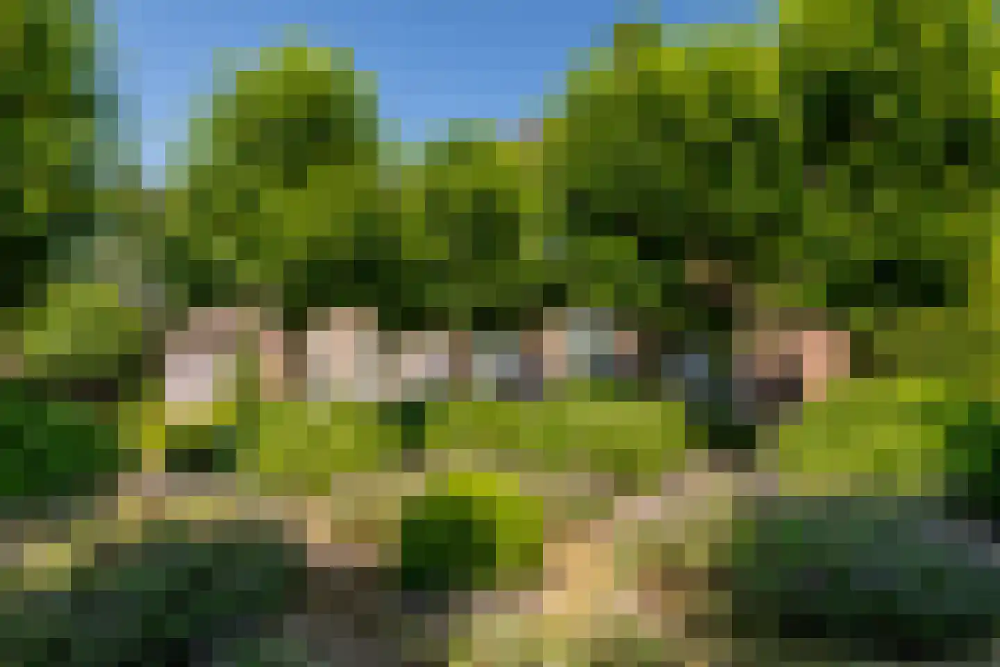 Leemputten 20 Linden thumbnail 9