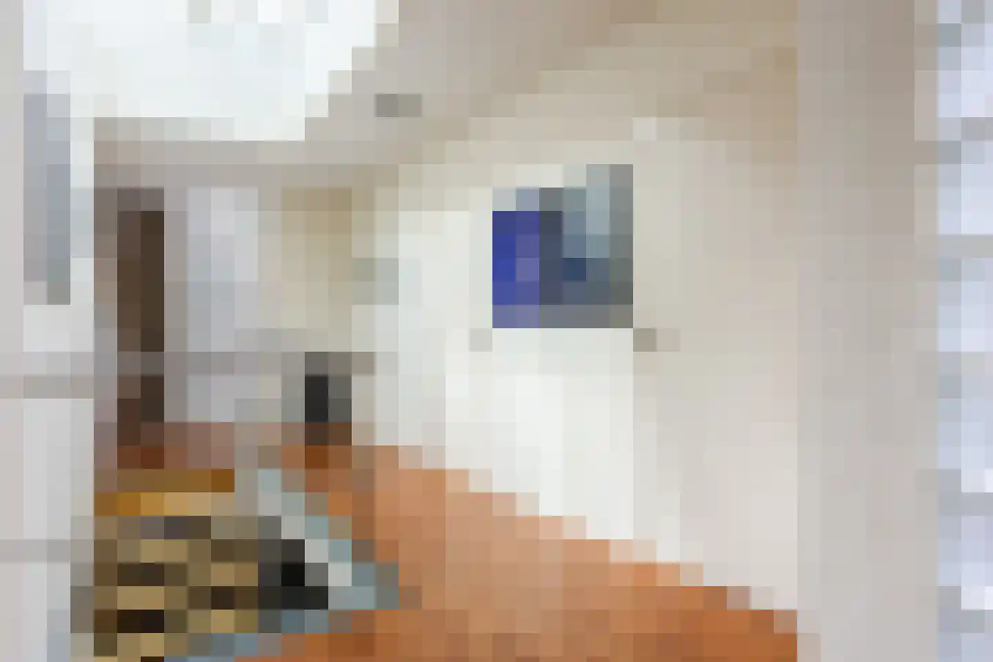 Leemrand 29 Gemert thumbnail 27