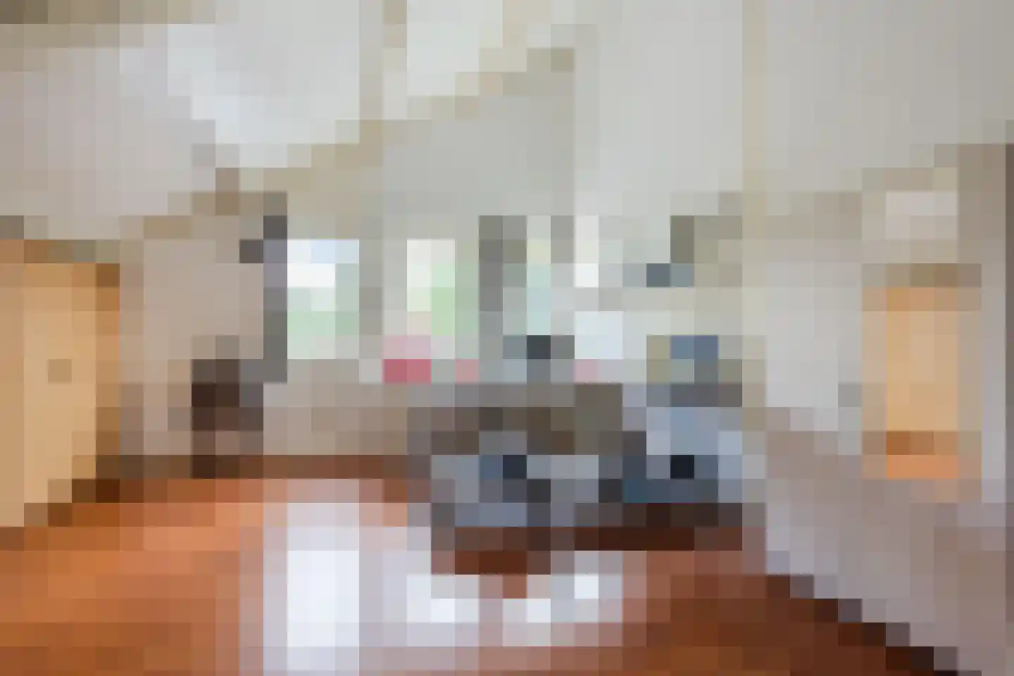 Leemrand 29 Gemert thumbnail 31