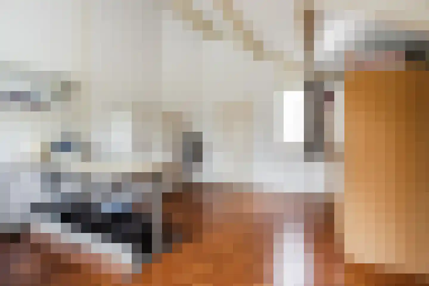 Leemrand 29 Gemert thumbnail 32