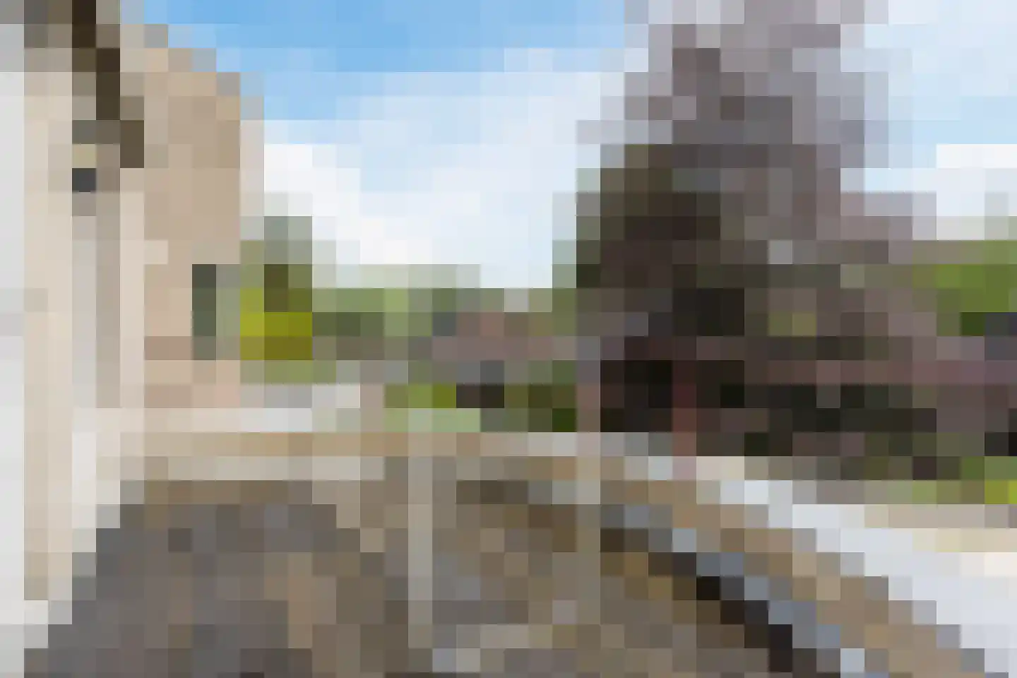 Leemrand 29 Gemert thumbnail 36