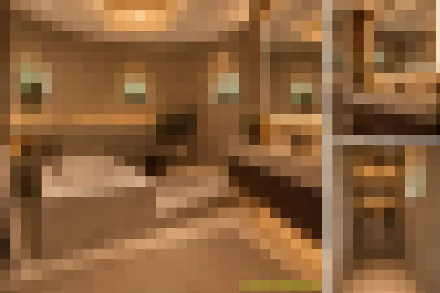 Leemrand 29 Gemert thumbnail 44